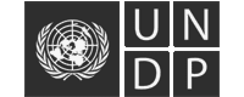 UNDP